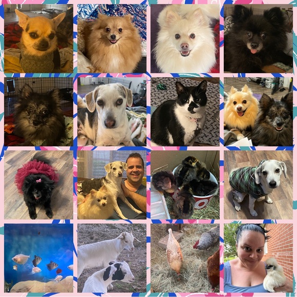 Meet your Posher, Raychel - Picture 2 of 4